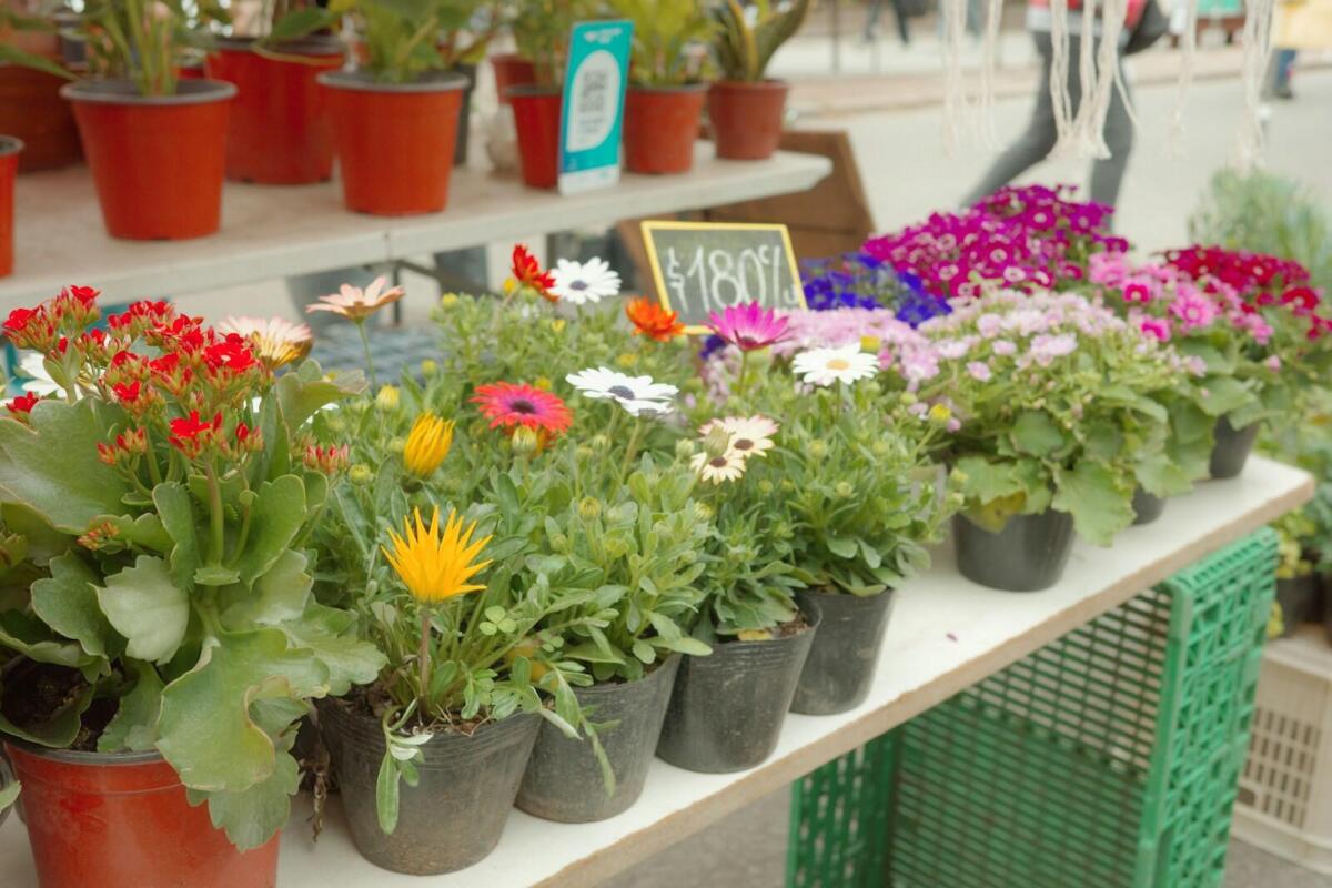 How Local Vendors Can Reach International Buyers