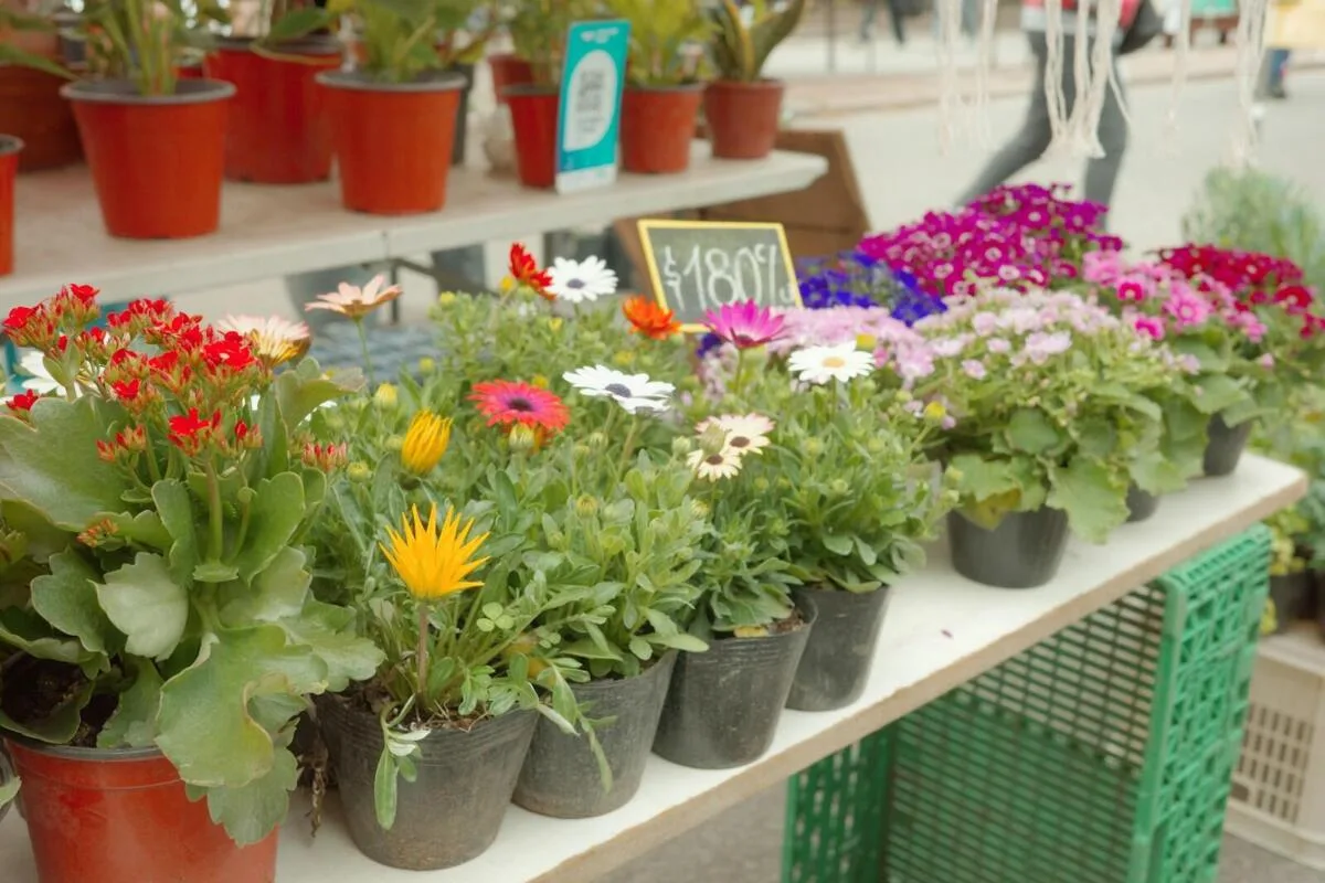 How Local Vendors Can Reach International Buyers