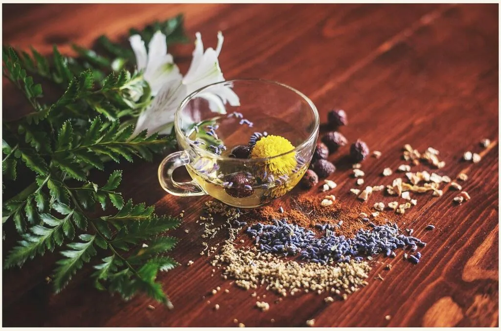 Best Herbal Remedies for Common Illnesses in Africa 1 Best Herbal Remedies for Common Illnesses in Africa