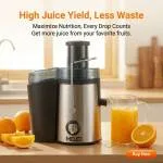 High-Yield Fruit Juicer Extractor